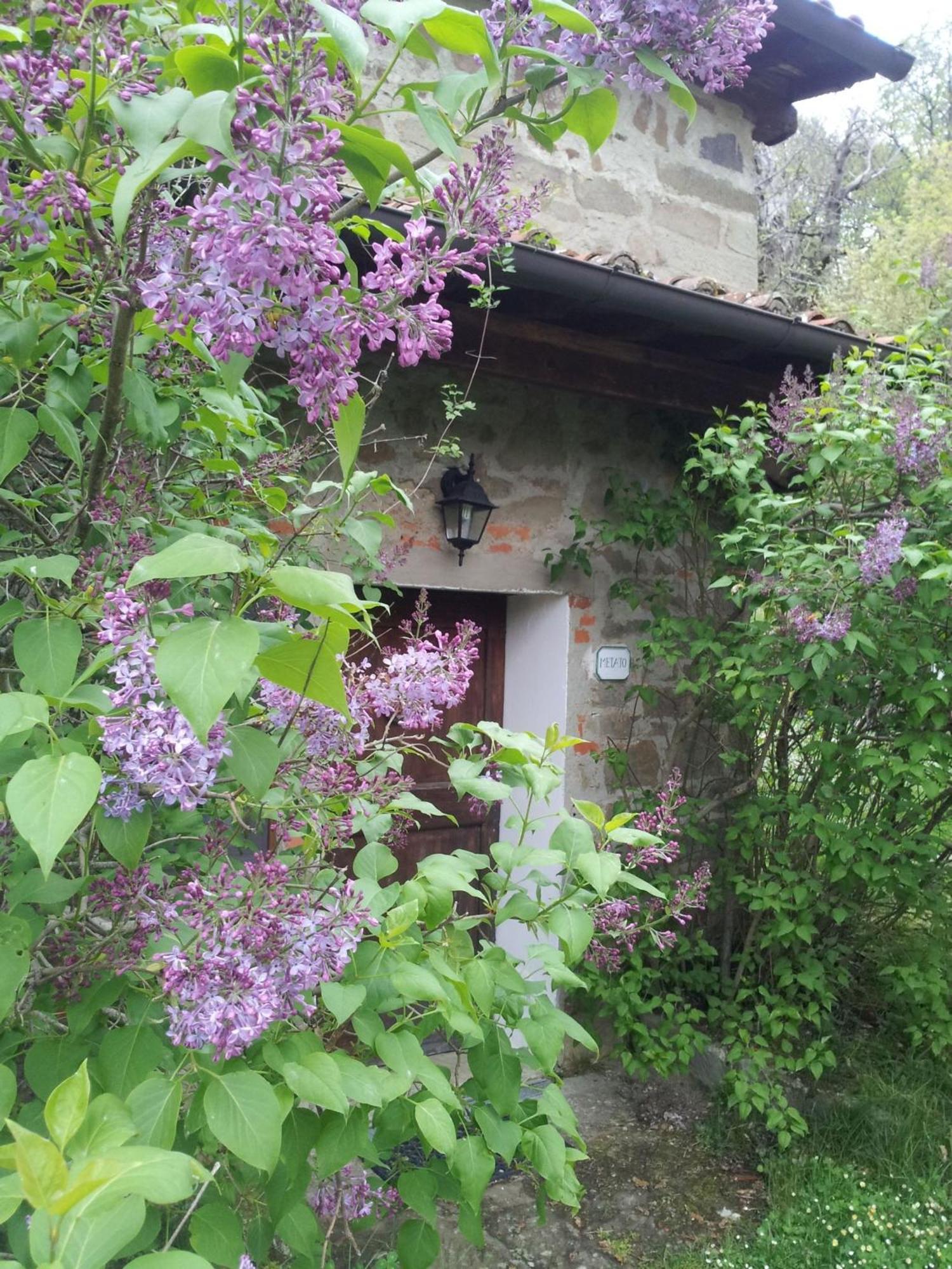 Fattoria Il Praticino - Metato Villa Castelfranco di Sopra Екстериор снимка