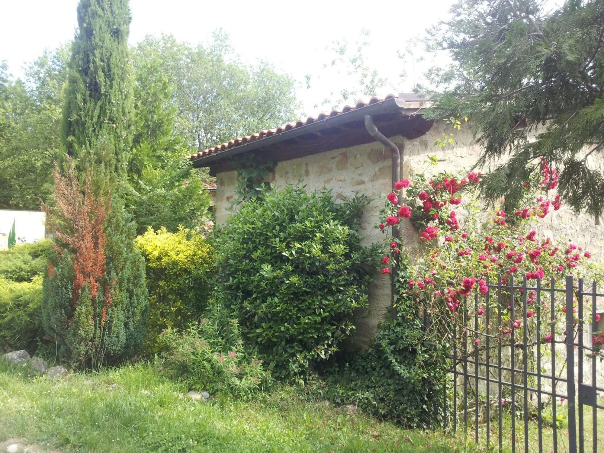 Fattoria Il Praticino - Metato Villa Castelfranco di Sopra Екстериор снимка